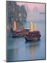 Junk Boat and Karst Islands in Halong Bay, Vietnam-Keren Su-Mounted Photographic Print