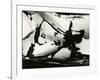 Junked Car, 1977-Brett Weston-Framed Photographic Print