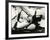 Junked Car, 1977-Brett Weston-Framed Photographic Print