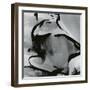 Junked Car, 1977-Brett Weston-Framed Photographic Print