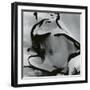 Junked Car, 1977-Brett Weston-Framed Photographic Print