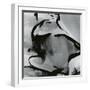 Junked Car, 1977-Brett Weston-Framed Photographic Print