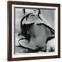 Junked Car, 1977-Brett Weston-Framed Photographic Print