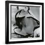 Junked Car, 1977-Brett Weston-Framed Photographic Print