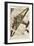 Junkers G38, Large German Freight Plane-B und H Romer-Framed Art Print