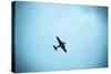 Junkers Ju 52 Aircraft Flying in the Sky, Leipzig, Saxony, Germany-null-Stretched Canvas