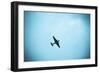 Junkers Ju 52 Aircraft Flying in the Sky, Leipzig, Saxony, Germany-null-Framed Photographic Print