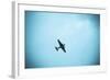 Junkers Ju 52 Aircraft Flying in the Sky, Leipzig, Saxony, Germany-null-Framed Photographic Print