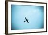 Junkers Ju 52 Aircraft Flying in the Sky, Leipzig, Saxony, Germany-null-Framed Photographic Print