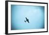 Junkers Ju 52 Aircraft Flying in the Sky, Leipzig, Saxony, Germany-null-Framed Photographic Print