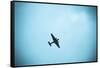 Junkers Ju 52 Aircraft Flying in the Sky, Leipzig, Saxony, Germany-null-Framed Stretched Canvas