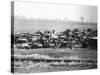 Junkyard-Walker Evans-Stretched Canvas