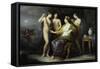 Juno and the Three Graces-Andrea Appiani-Framed Stretched Canvas