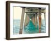 Juno Pier-Lisa Hill Saghini-Framed Premium Giclee Print