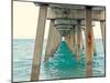 Juno Pier-Lisa Hill Saghini-Mounted Premium Giclee Print