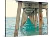 Juno Pier-Lisa Hill Saghini-Stretched Canvas