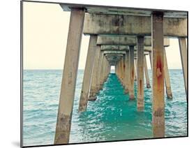 Juno Pier-Lisa Hill Saghini-Mounted Art Print