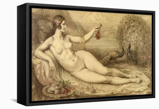 Juno-Armand Point-Framed Stretched Canvas