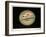 Jupiter, 1880-Science, Industry and Business Library-Framed Premium Photographic Print