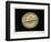 Jupiter, 1880-Science, Industry and Business Library-Framed Photographic Print