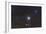 Jupiter in the Constellation Taurus with Deep Sky Objects-null-Framed Photographic Print