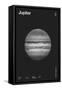 Jupiter : Minimal Planets Datas, 2023 (Digital)-Florent Bodart-Framed Stretched Canvas