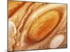 Jupiter's Great Red Spot-null-Mounted Premium Photographic Print