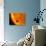 Jupiter-Sized Planet Passing in Front of its Parent Star-Stocktrek Images-Photographic Print displayed on a wall