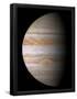 Essential Black