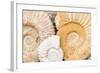 Jurassic Ammonite Fossils for Sale, Medina, Marrakech, Morocco-Nico Tondini-Framed Photographic Print