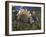 Jurassic Dinosaurs, Artwork-Walter Myers-Framed Photographic Print