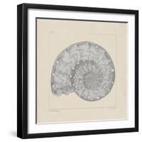 Jurassic II-A^ Poiteau-Framed Premium Giclee Print