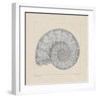 Jurassic II-A^ Poiteau-Framed Premium Giclee Print