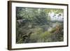 Jurassic Life, Artwork-Richard Bizley-Framed Premium Photographic Print