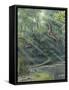 Jurassic Life, Artwork-Richard Bizley-Framed Stretched Canvas