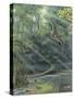 Jurassic Life, Artwork-Richard Bizley-Stretched Canvas