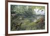 Jurassic Life, Artwork-Richard Bizley-Framed Photographic Print