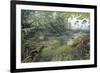 Jurassic Life, Artwork-Richard Bizley-Framed Photographic Print