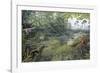 Jurassic Life, Artwork-Richard Bizley-Framed Photographic Print