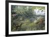 Jurassic Life, Artwork-Richard Bizley-Framed Photographic Print