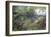 Jurassic Life, Artwork-Richard Bizley-Framed Photographic Print