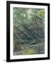 Jurassic Life, Artwork-Richard Bizley-Framed Photographic Print