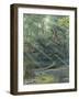 Jurassic Life, Artwork-Richard Bizley-Framed Photographic Print