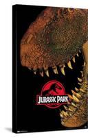 Jurassic Park - Bite-Trends International-Stretched Canvas