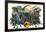 Jurassic World: Dominion - Aggression-Trends International-Framed Poster