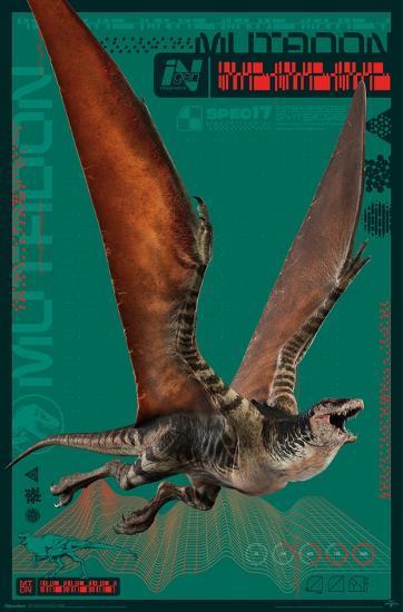 Poster, , large