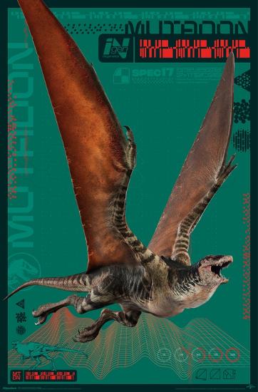Poster, , large