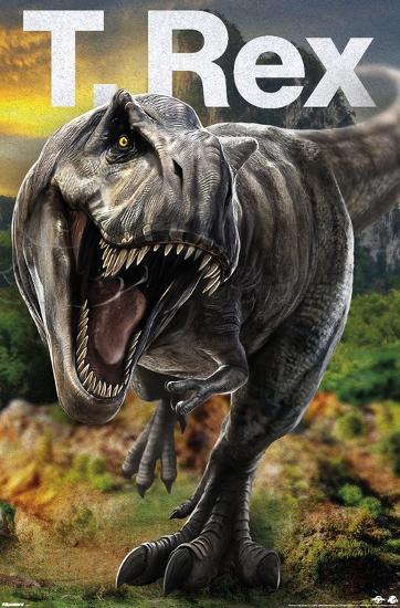 Poster, , large