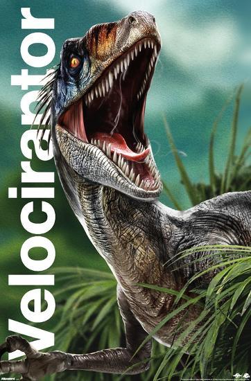 Poster, , large
