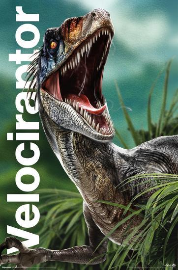 Poster, , large